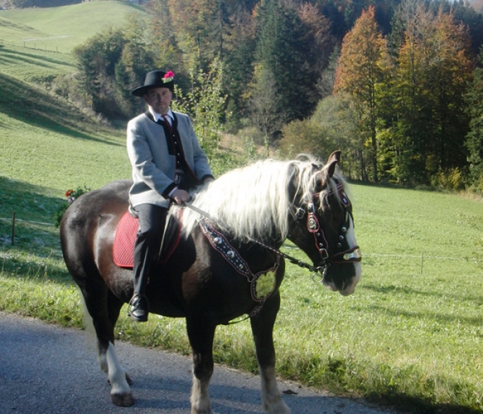 reiter.JPG