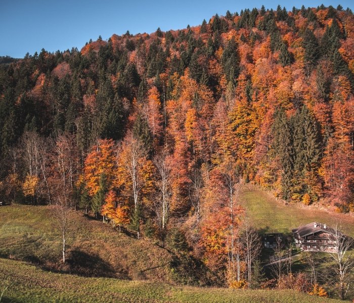 hd-herbst-kufsteinerland-copyright-vanmey-photography-7-min.jpg