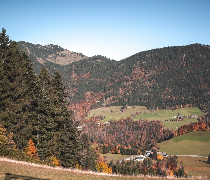 hd-herbst-kufsteinerland-copyright-vanmey-photography-8-min.jpg